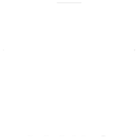 Honest Paws